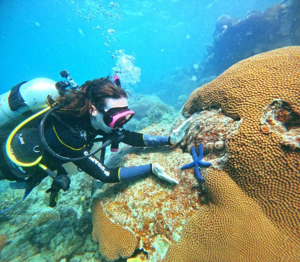10 Best Wildlife Activities in Fiji