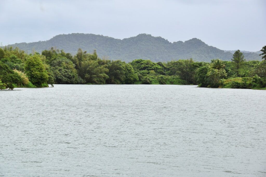 The Best Boat Tours in Fiji