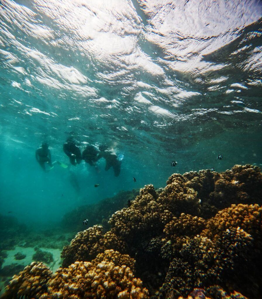 The Best Boat Tours in Fiji