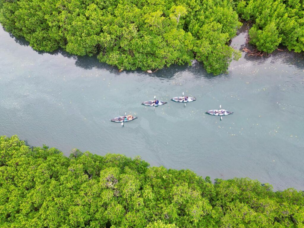 5 Best River Cruises in Fiji