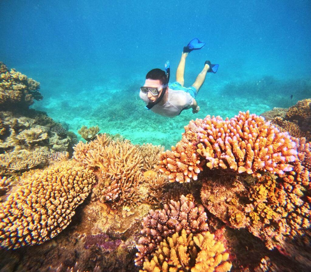 10 Best Wildlife Activities in Fiji