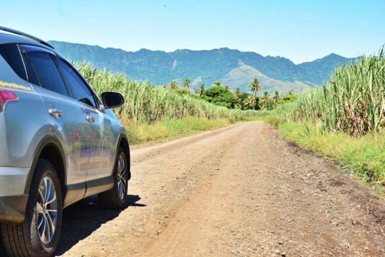 Can You Drive in Fiji with Your Overseas License?