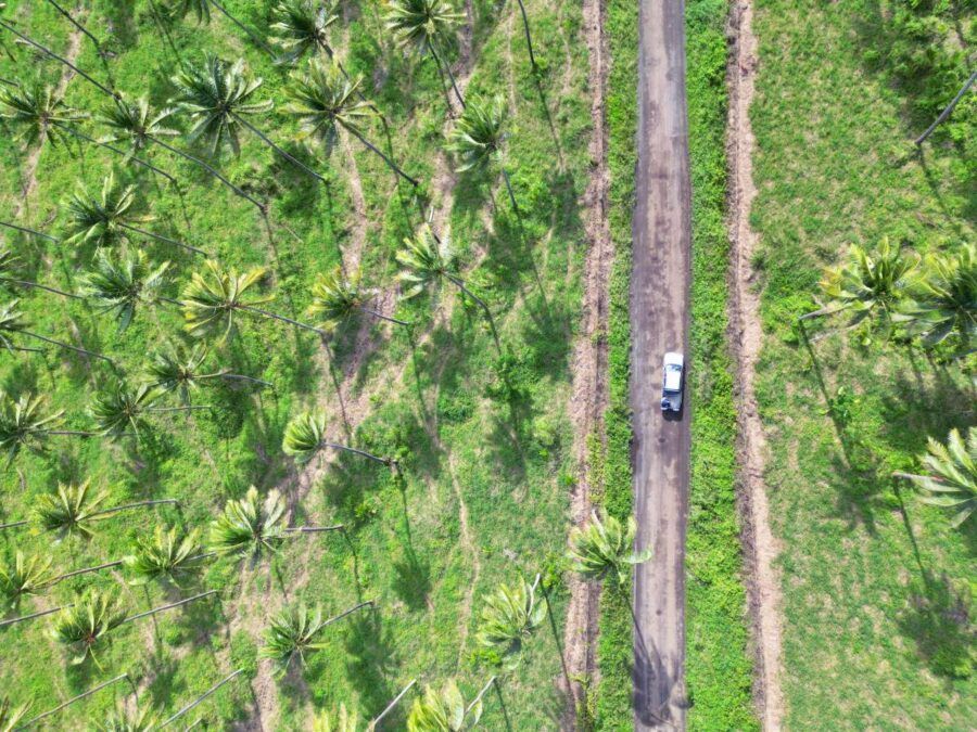 The Guide to Renting a Car in Fiji