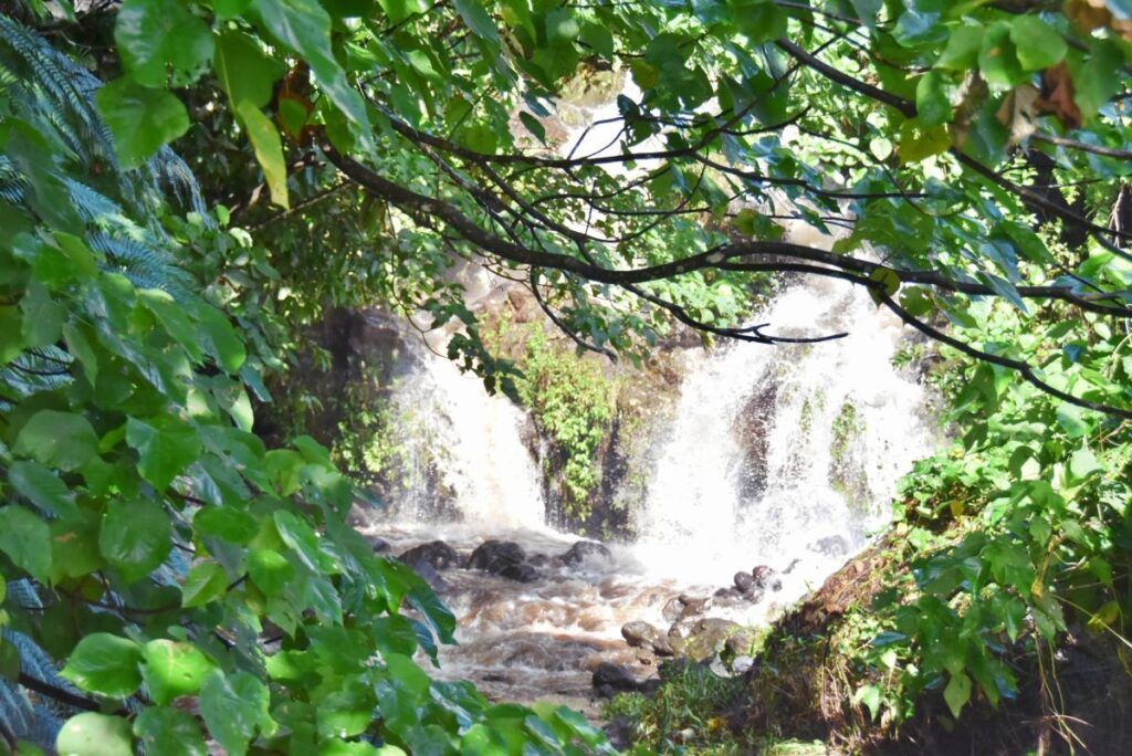 10 Best Swimming Spots in Fiji