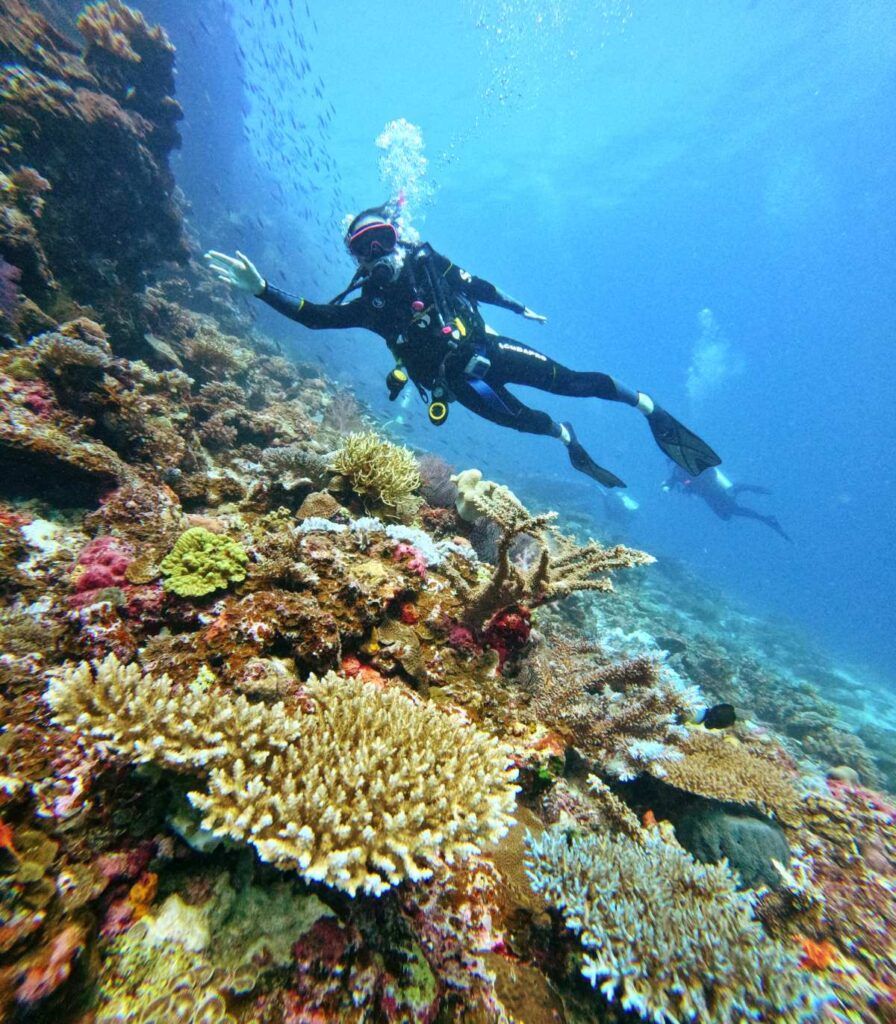 When is the Best Time to Dive in Fiji?