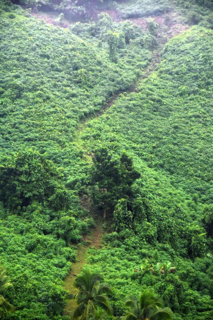 10 Best Walks in Vanua Levu