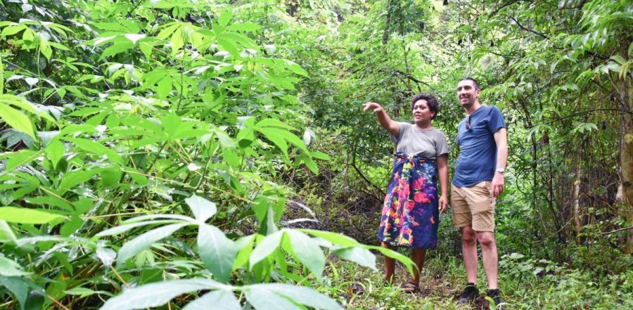 10 Best Walks in Vanua Levu
