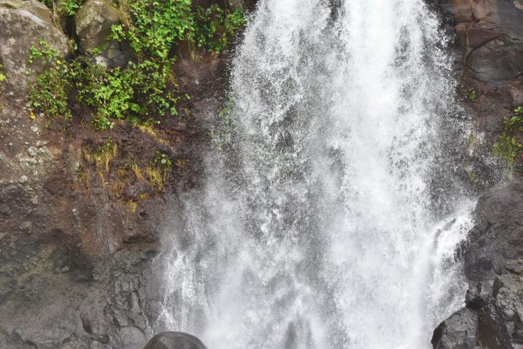 10 Best Walks in Vanua Levu