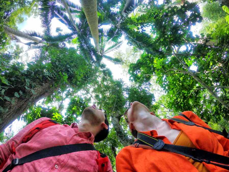 101 Things to Do in Fiji: The Ultimate List