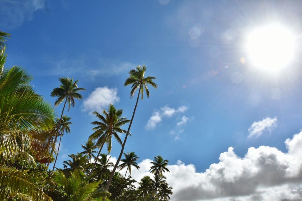 The Guide to Taking a Cruise to Fiji
