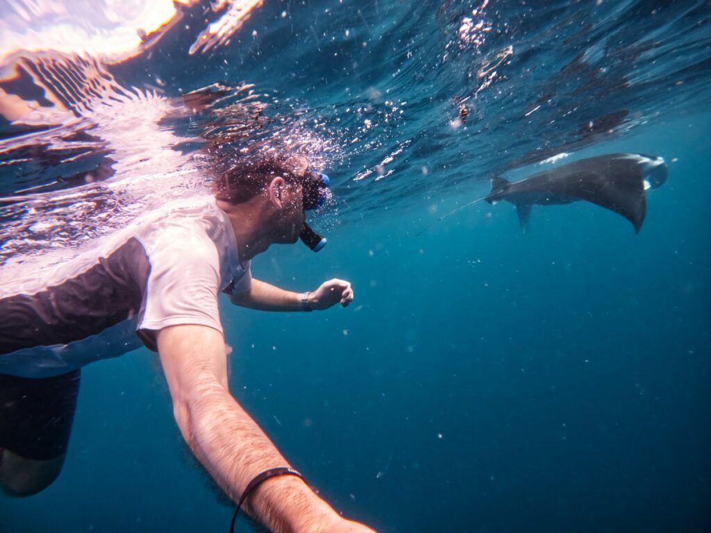 The Guide to Swimming with Manta Rays in Fiji