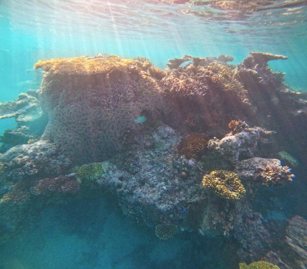 10 Things to Do in Fiji with Kids