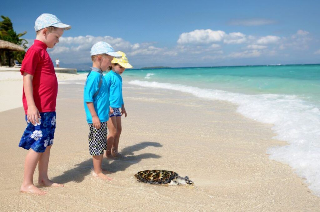 6 Best Places to See & Swim with Turtles in Fiji