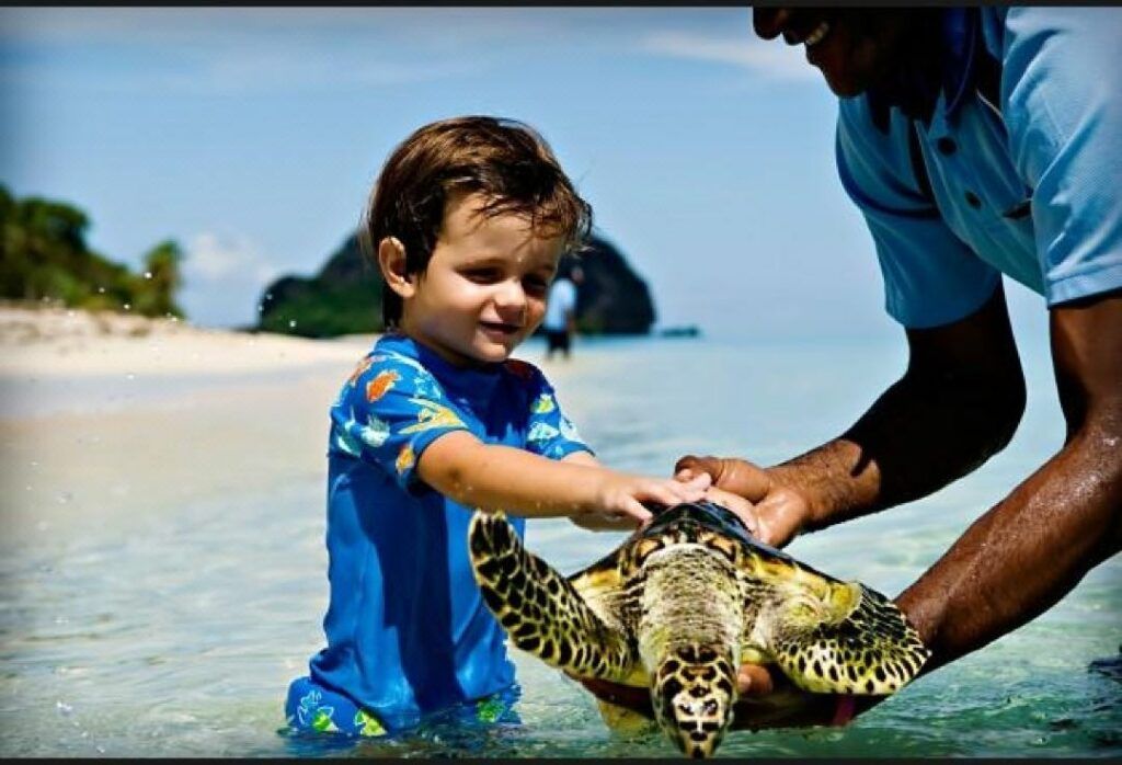 6 Best Places to See & Swim with Turtles in Fiji