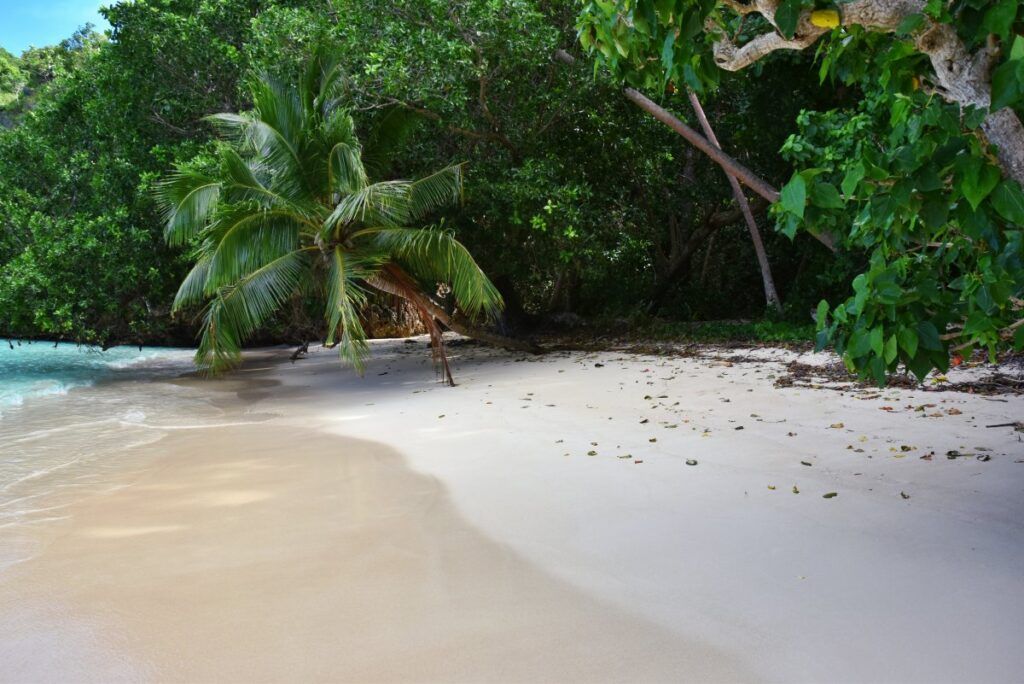 The Best Day Trips from the Lomaiviti Islands