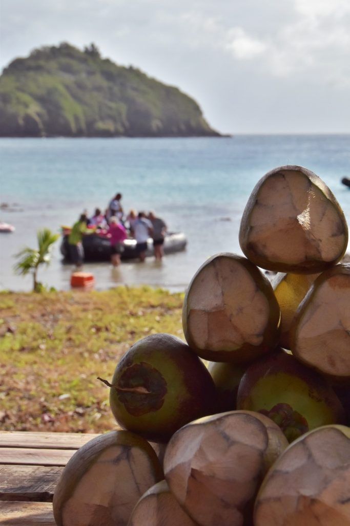 5 Best Things to Do on Dravuni Island