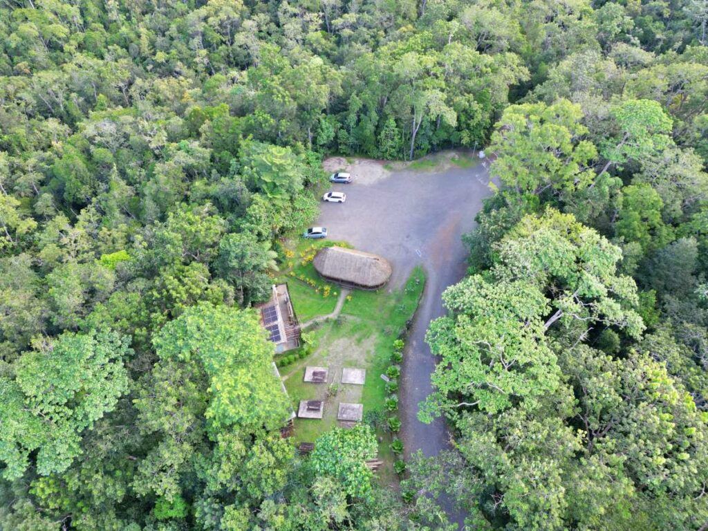 10 Best Places to See Birds in Fiji