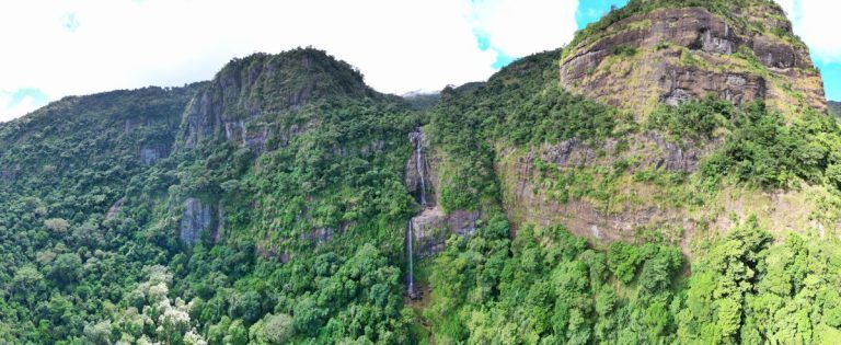 The Best Day Trips from the Suncoast