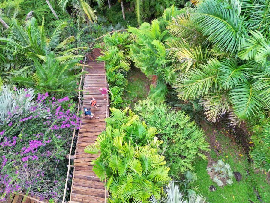 10 Best Things to Do in Savusavu