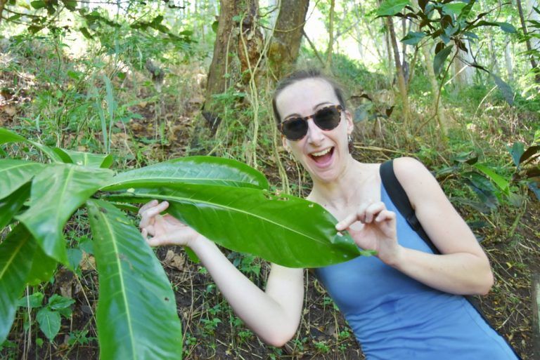 The Guide to Ecotourism in Fiji