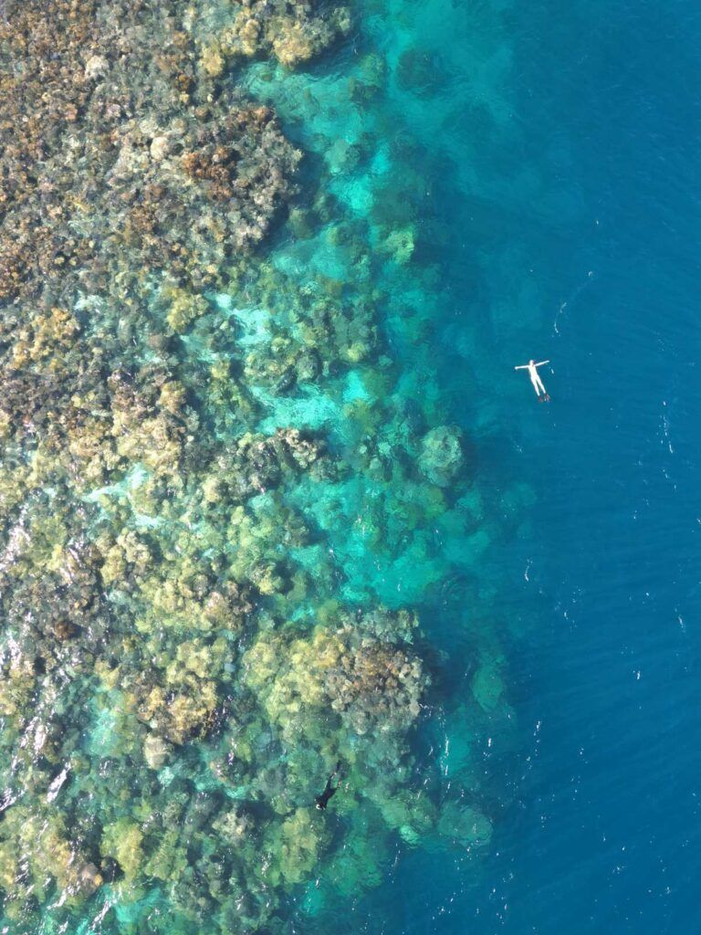 The Ultimate Guide to Snorkelling in Fiji