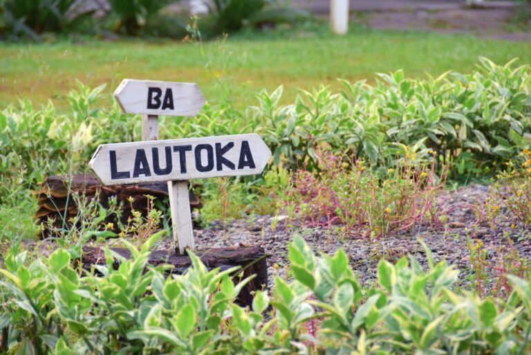 The Best Day Trips from Nadi