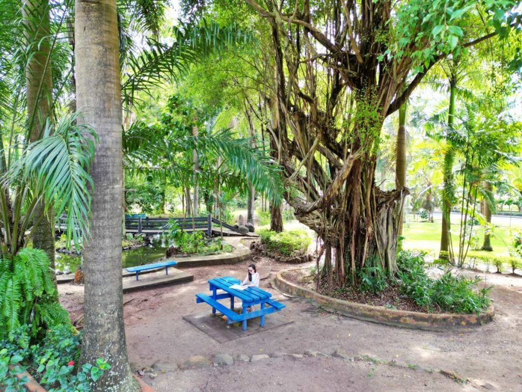 10 Best Things to Do in Lautoka