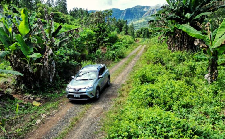 The Best Day Trips from Denarau