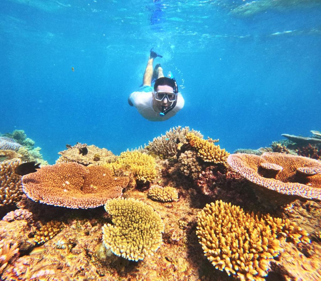 5 Best Things to Do on Dravuni Island