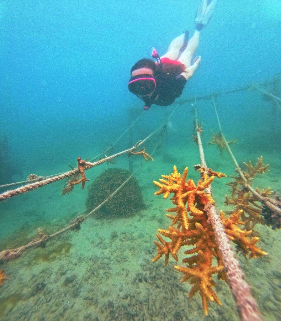 101 Things to Do in Fiji: The Ultimate List 🐠 [2025]