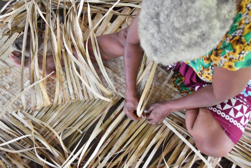 The Best Day Trips from the Lomaiviti Islands