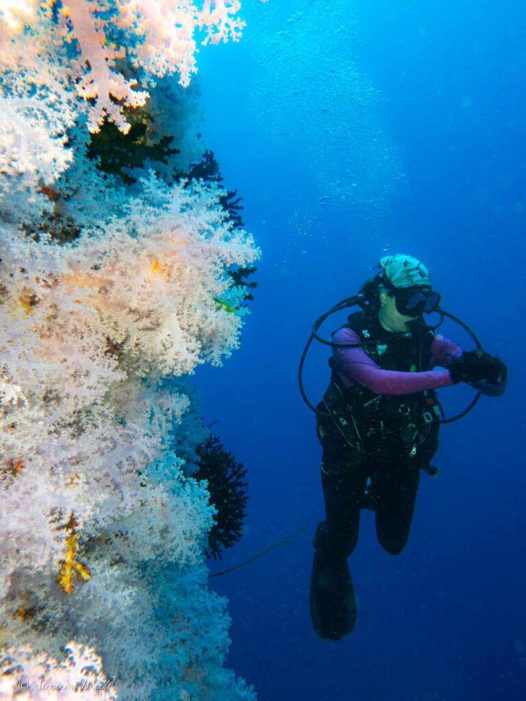 101 Things to Do in Fiji: The Ultimate List 🐠 [2025]