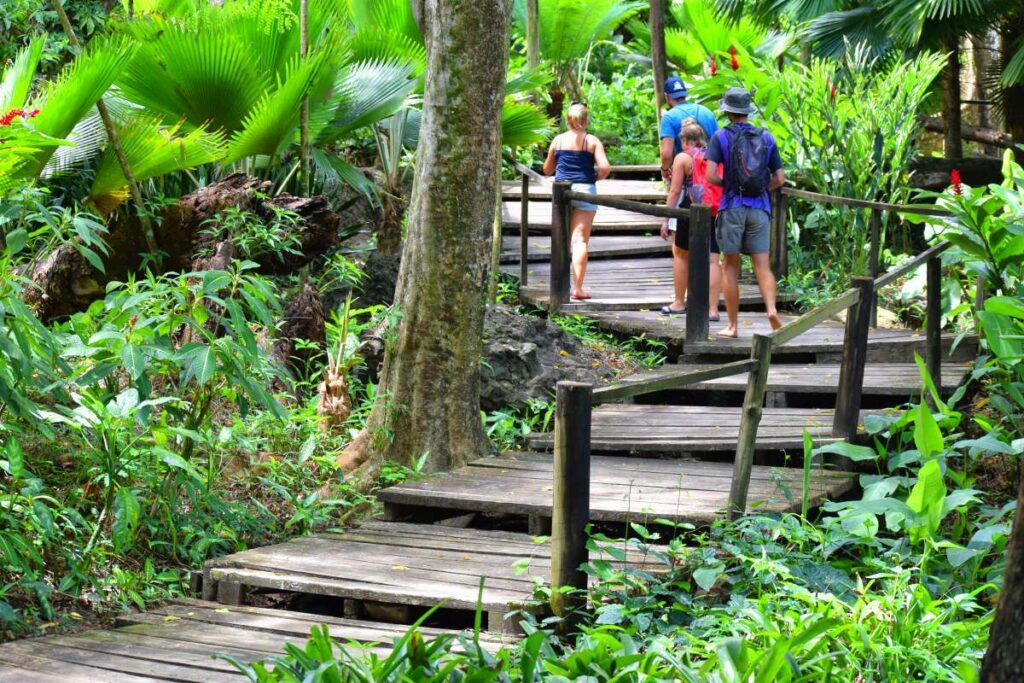 5 Best Shore Excursions from Lautoka