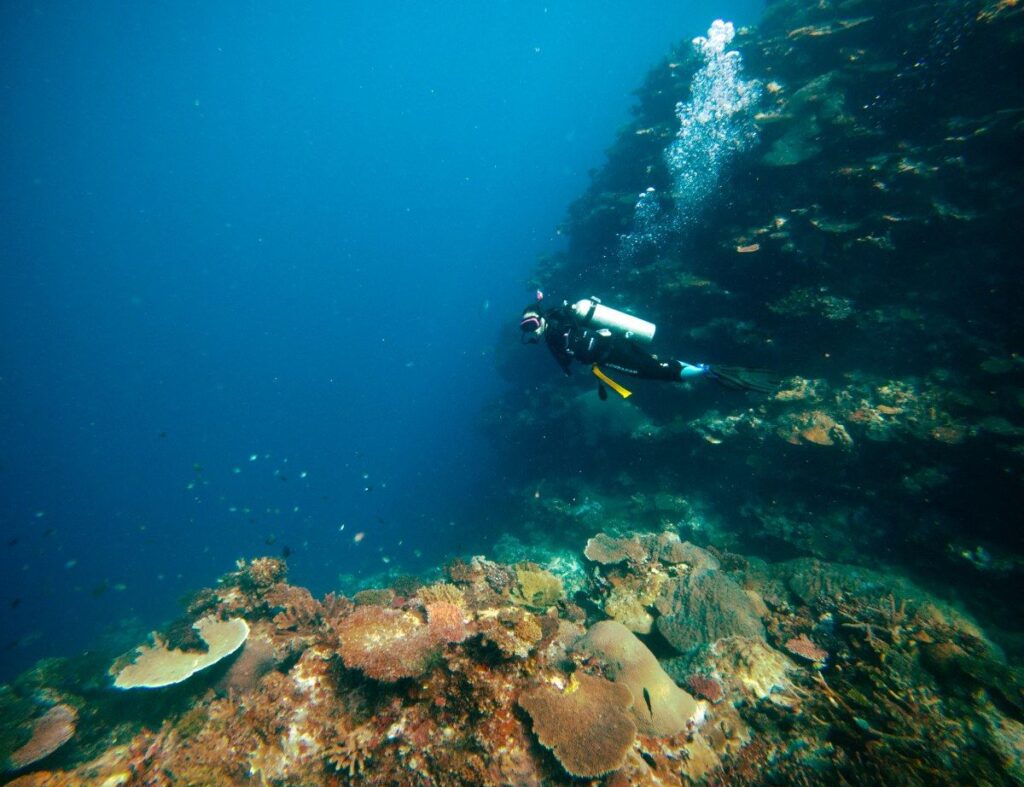 Taveuni Adults-Only Guide