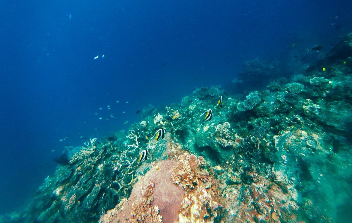 The Best Fiji Itineraries for 2 Weeks 🏖️ [2025]