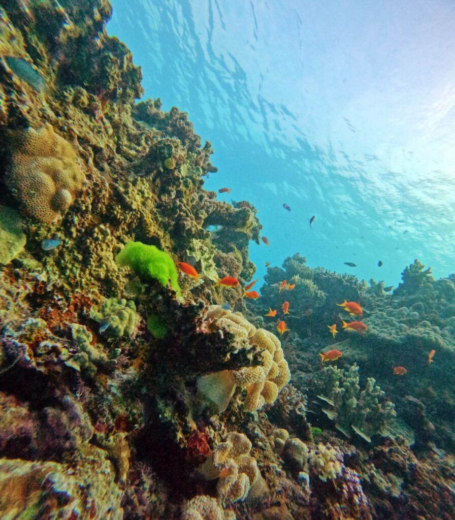 31 Ways to Travel More Sustainably in Fiji