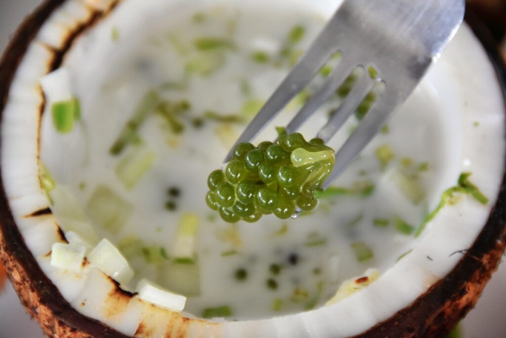 Fiji Food: 18 Unique Foods in Fiji You Have to Try 🥥