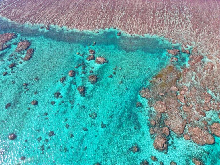 The Complete Luxury Travel Guide to Fiji 💎 [2025]