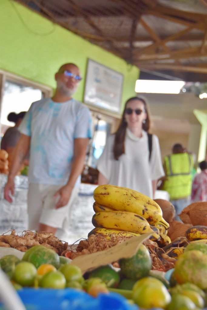 The Complete Travel Guide to Suva ???? [2025]