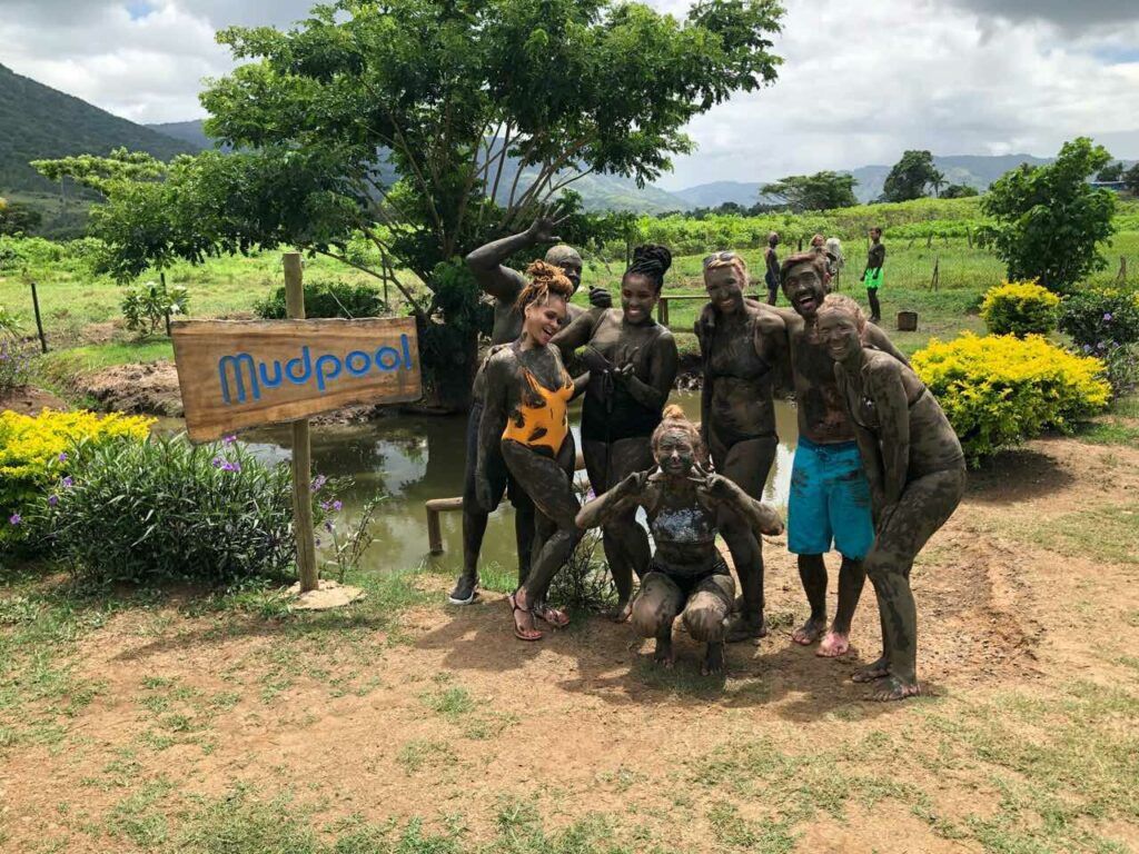 10 BEST Day Tours from Nadi ???? [2023]