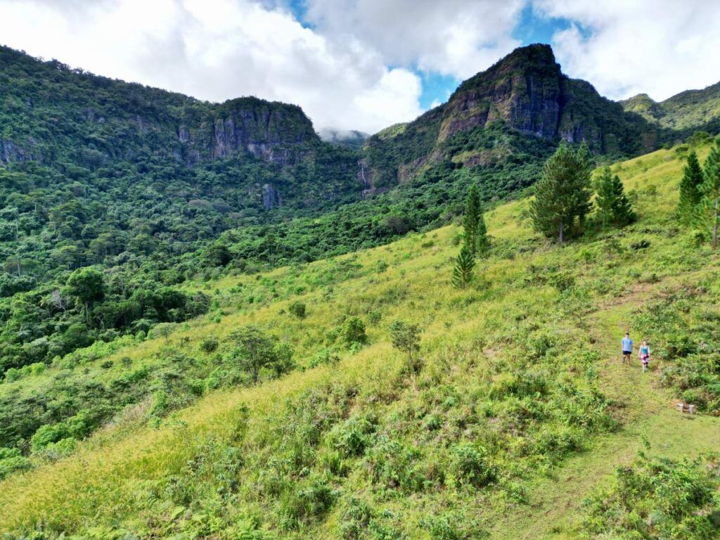 10 BEST Day Tours from Nadi 🌴 [2025]