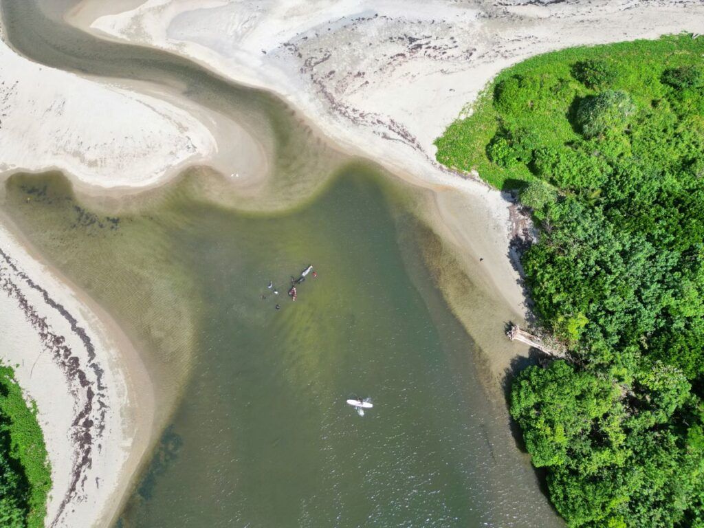 20 BEST Things to Do on the Coral Coast ⛱️ [2025]