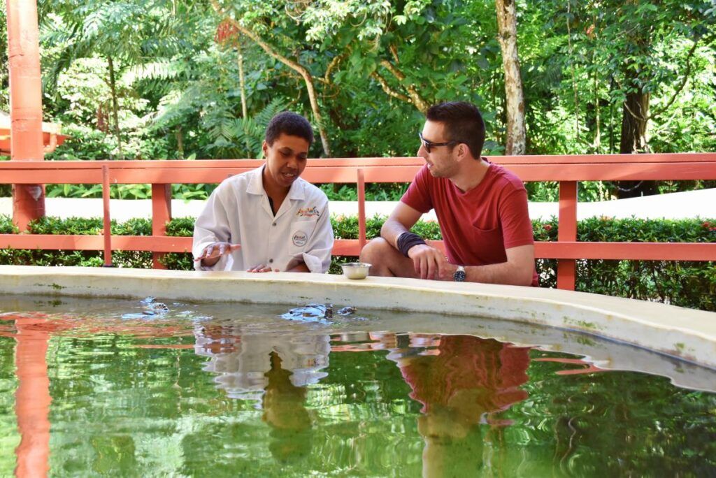 20 BEST Things to Do on the Coral Coast ⛱️ [2025]