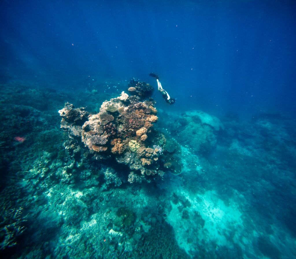 The Best Snorkelling in Fiji: 15 Places to Snorkel