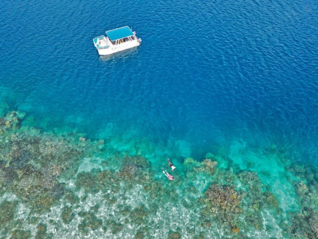 The Best Snorkelling in Fiji: 15 Places to Snorkel