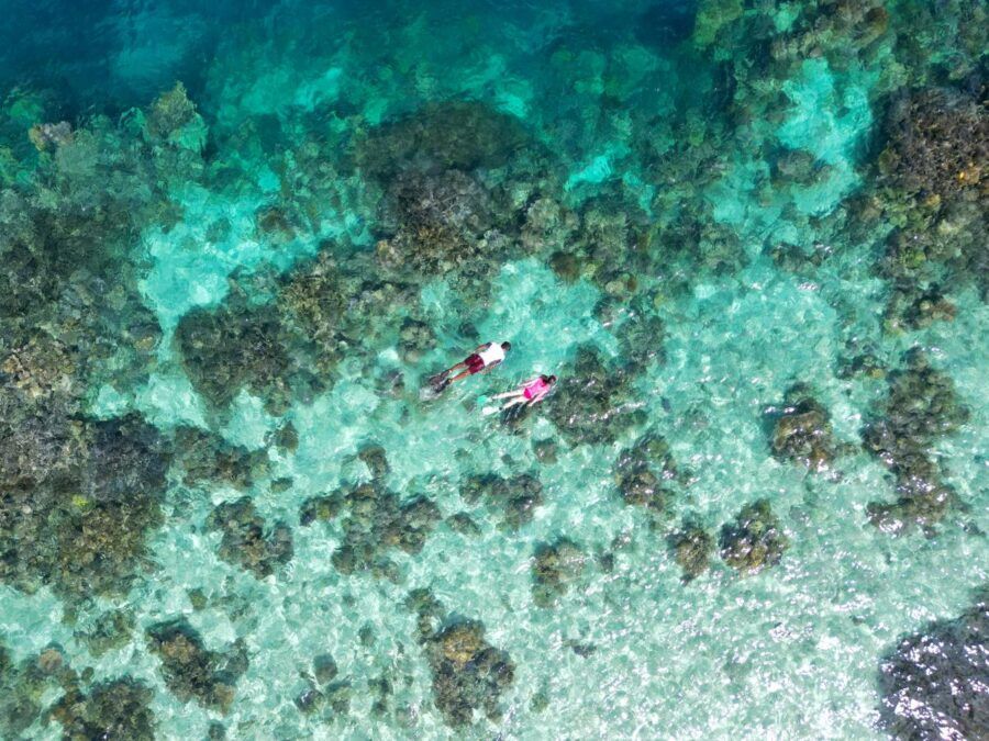 The Best Snorkelling in Fiji: 15 Places to Snorkel