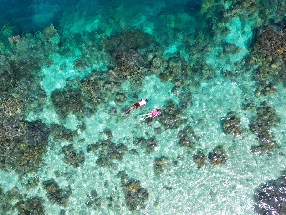 The Best Snorkelling in Fiji: 15 Places to Snorkel