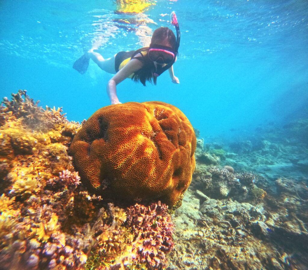 The Best Snorkelling in Fiji: 15 Places to Snorkel