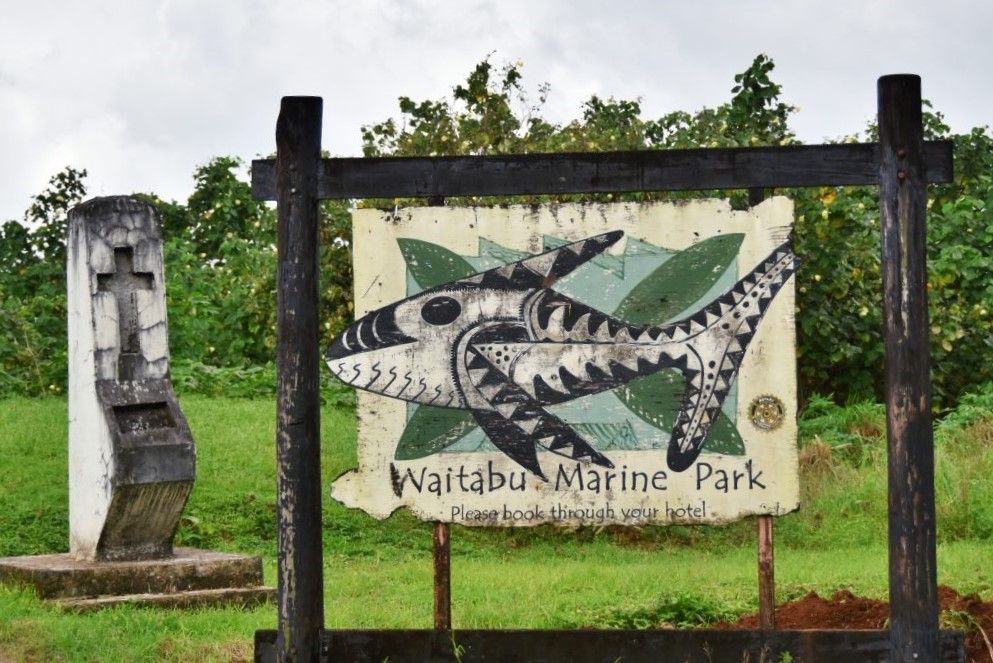 The Best Snorkelling in Fiji: 15 Places to Snorkel