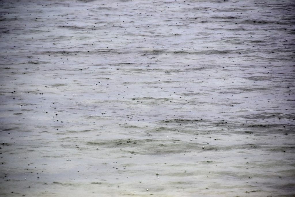 Fiji Weather in December ????